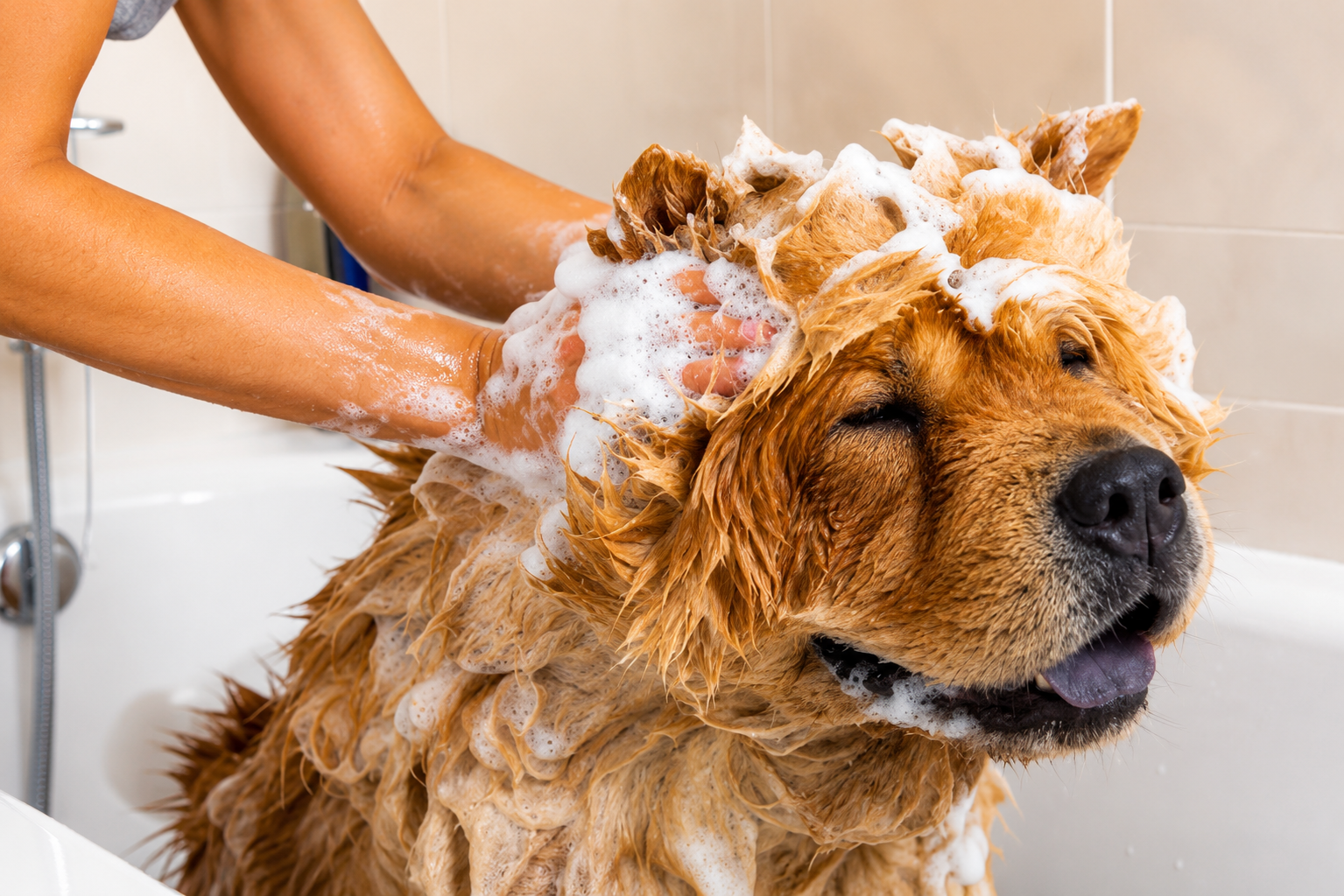 Medicated Bath Service